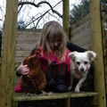 honden foto Romi en de kip samen met men nichtje Willow