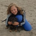 honden foto 