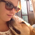 honden foto 