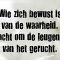 honden foto 
