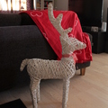 honden foto @ Koffiehoek, kerst