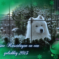 honden foto 