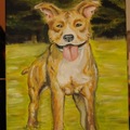 honden foto Schilderij van mn knapperd gemaakt door een vriendin.