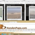 honden foto Q. In de gaten houden =)
