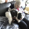 honden foto Bij oma 