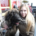 honden foto I kijk een beetje raar,maar dit zijn ik en sem <3 