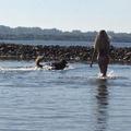 honden foto Swimm <3