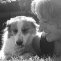 honden foto 