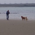 honden foto ik sta helemaal niet dom te kijken , ik laat hem alleen ff lullen.