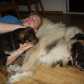 honden foto Lekker liggen tegen Max.