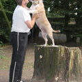 honden foto hier heb je onze megalove 