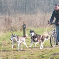 honden foto ^^