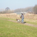honden foto 