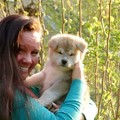 honden foto Jitô Furinkazan