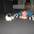 honden foto 