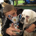 honden foto 