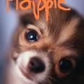 honden foto flappie