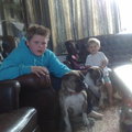 honden foto de kids met de old englische bulldogs
