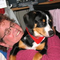 honden foto Zoals te zien, ze zit graag bij je en is erg lief voor anderen. Valsheid zit niet in dit ras. Ze zijn lief, aanhankelijk en heel goed met kinderen. Komt er echter een vreemde binnen, dan blaft ze wel. 