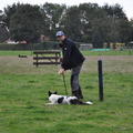 honden foto Floortje mag hier buiten mededingen mee doen.