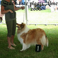 honden foto Stacy is 6 jaar en werd regelmnatig 1 ste op shows zij moet nog 2 maal de BOB halen dan is zij Nederlands kampioen,ook heeft Stacy 2 keer een nestje gehad en wij hopen volgend jaar een laatste nestje van haar te krijgen