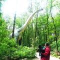 honden foto Joep in het dinosaurusbos 