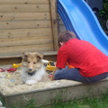 honden foto Maatjes.
