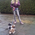 honden foto de eerste x aan de riem, valt niet mee met beide deugnieten.