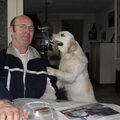 honden foto 