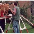 honden foto Ook Djoery vond het helemaal niets.