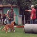 honden foto Nog wat aanwijzingen en gaan!!!