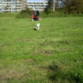 honden foto 13-OKTOBER-2011

KIJK HAAR RENNEN, IK GENIET