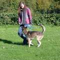honden foto lekker trainen okt. 2011