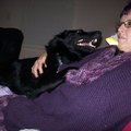 honden foto 