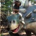 honden foto Ride my Pony!