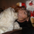 honden foto KERST AVOND 2011

CHICKA EN IK