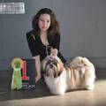 honden foto 