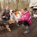 honden foto En daar zijn een paar hondjes van Hanna
