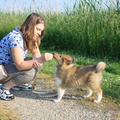 honden foto Eerste keer loslopen en ik houd het baasje goed in de gaten, ze heeft hele lekkere snoepjes <3 @ 9 weken