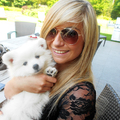 honden foto 