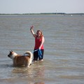 honden foto 