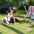 honden foto 