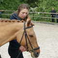 honden foto Dibbes