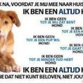 honden foto 