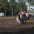 honden foto 