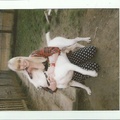 honden foto 