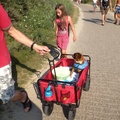 honden foto Te warm om naar de zee te wandelen? Dan maar zo! 