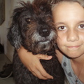 honden foto Ik met mijn hond Fee, ze is een lieve ouden hond. Ik heb haar al 6 jaar en ze speelt altijd met haar vriendje Flop.
