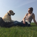 honden foto 