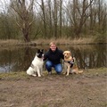 honden foto 